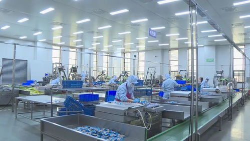 戰(zhàn) 恩陽(yáng)工業(yè)企業(yè)兩月拿下12億